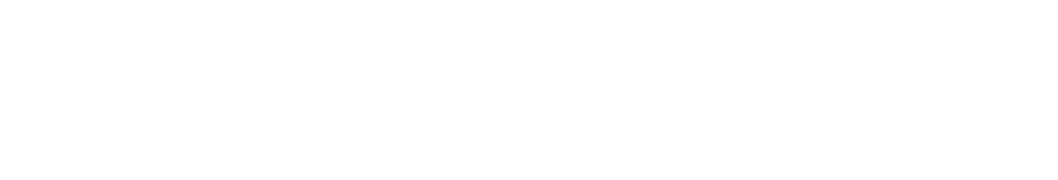domain.com logo